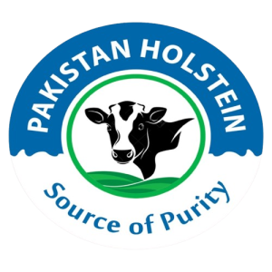 Pakistan Holstein Source of Purity