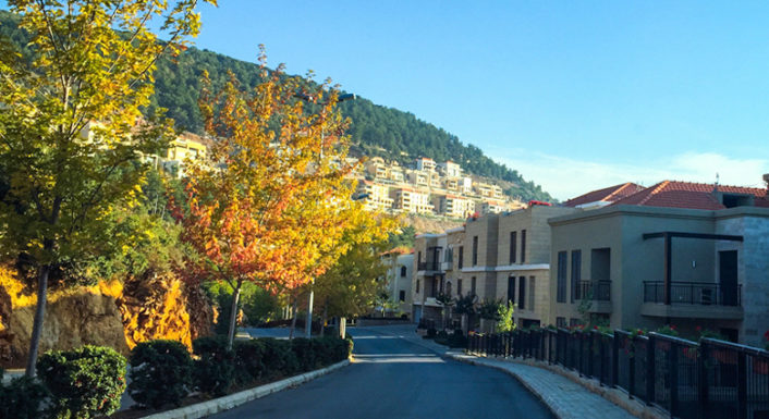 Zalmi Lebanon International Project