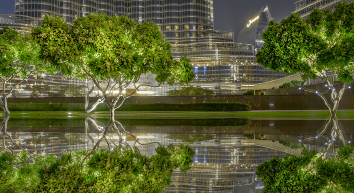 Environmental Policy